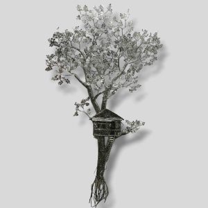 Blossoms of Prosperity: The Money Tree