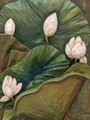 Lotus
