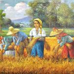 Golden Harvest