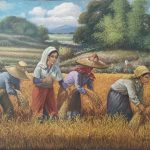 Harvest Series