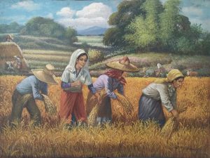 Harvest Series