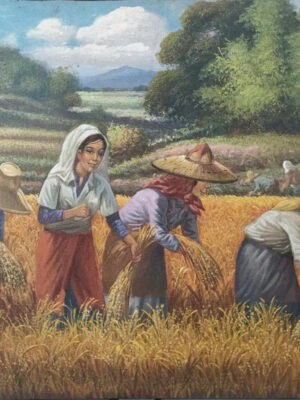 Harvest Series