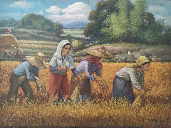 Harvest Series