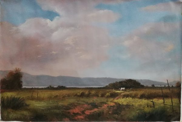 Countryside