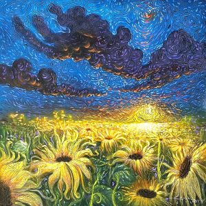Sunset Bloom