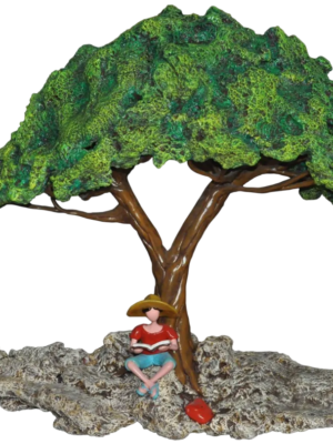 Under the Canopy of Wisdom