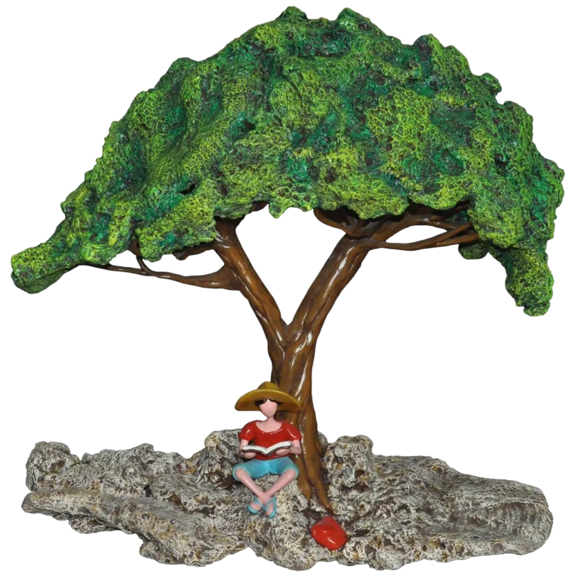 Under the Canopy of Wisdom