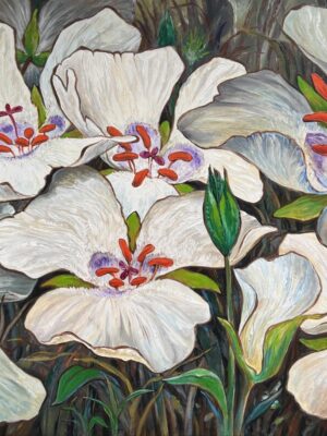 Calochortus Flower