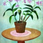 Orchid in Teal Light