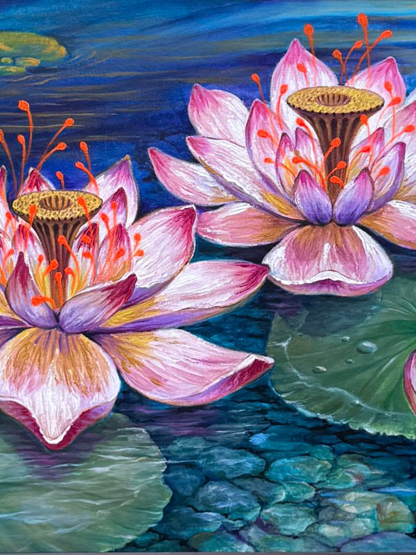 Lotus Becoming