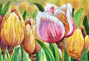 Hybrid Tulip