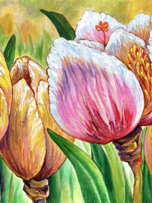 Hybrid Tulip