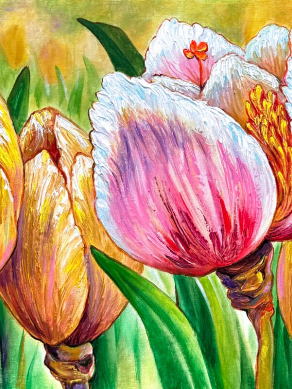 Hybrid Tulip