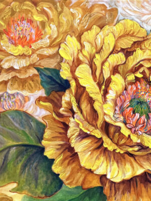 Peony the Blossoms of Glory