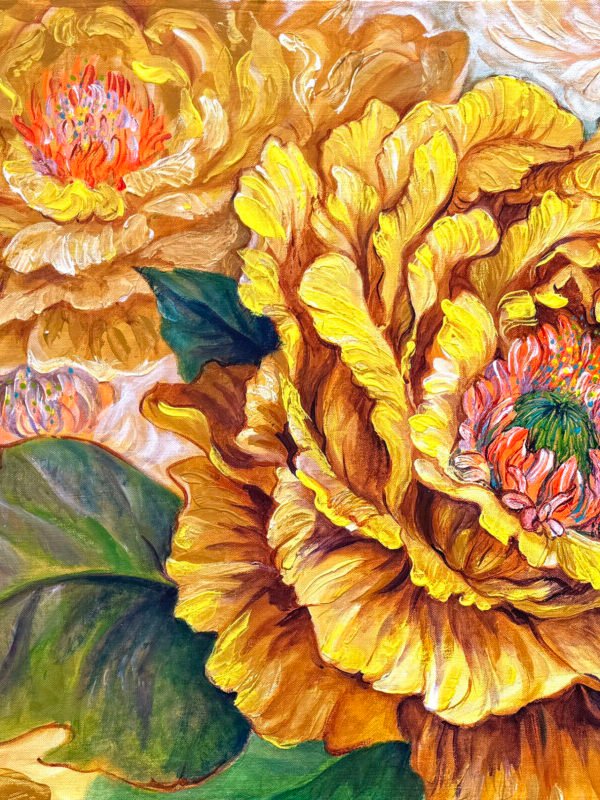 Peony the Blossoms of Glory