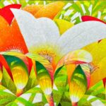 Petal Geometry