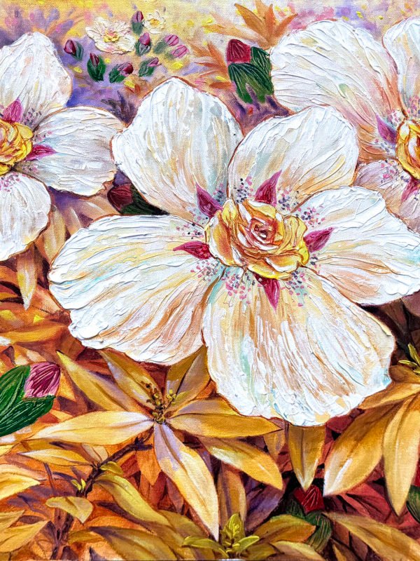 Rock Roses