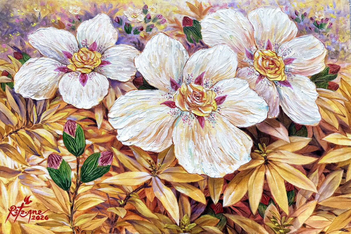 Rock Roses