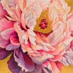 Pink Peony