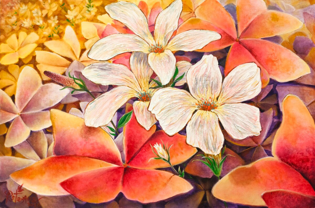 Wings of Bloom
