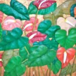 Anthurium Series