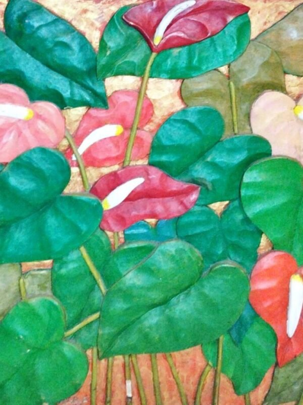 Anthurium Series